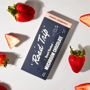 chocolate mushroom snack​
